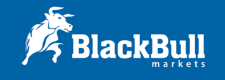 BlackBull Markets_logo