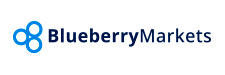 Blueberry Markets_logo