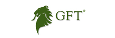 GFT_logo
