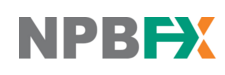 NPBFX
